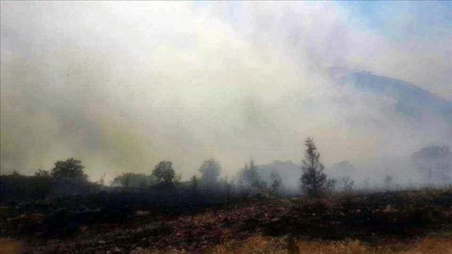 Ali Dağı´ndaki yangına Orman Bölge Müdürlüğü 49 personel ile müdahale etti