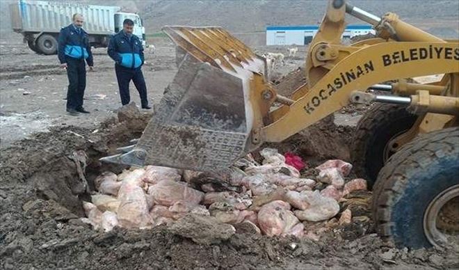 30 ton kaçak et imha edildi 