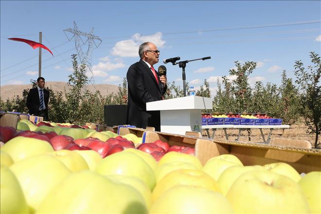 Başkan Öztürk: ?Yahyalı´da elma üretimi modernleşmeli? 