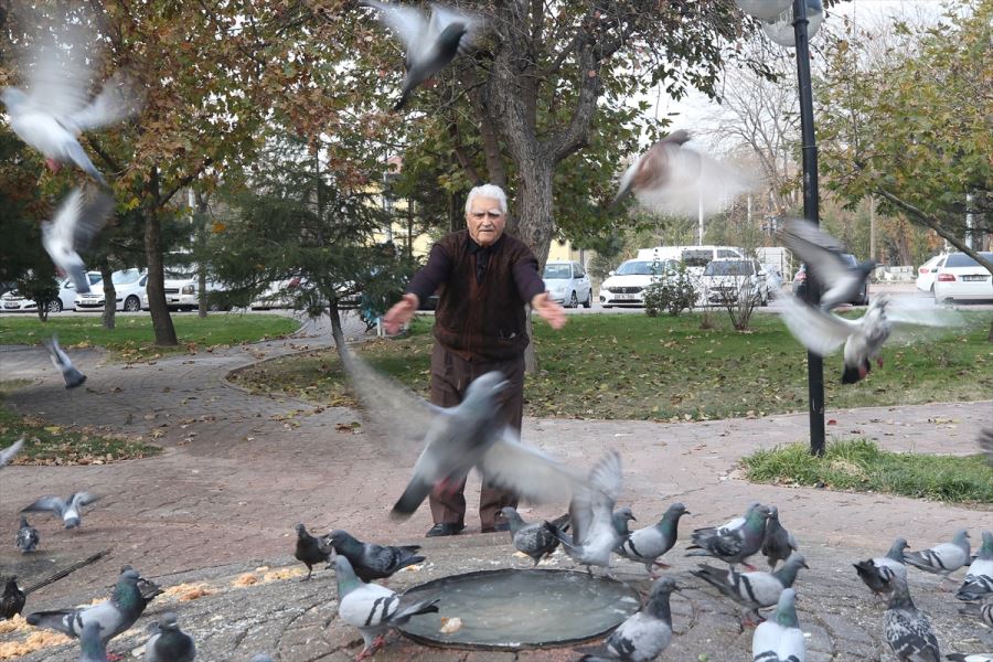 Kore gazisi Fahri dede güvercinlerin can dostu oldu