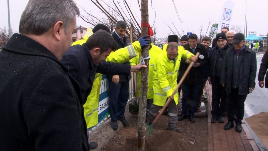 Melikgazi Belediyesi, meclis üyelerinin adına ağaç dikti