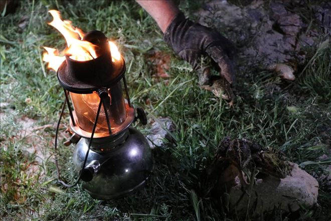 Avcılar gaz lambalarıyla gecenin karanlığında kurbağa avına çıktı 