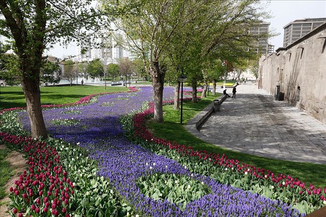 Büyükşehir Belediyesi, 1 milyon 910 bin 786 adet çiçek dikti 