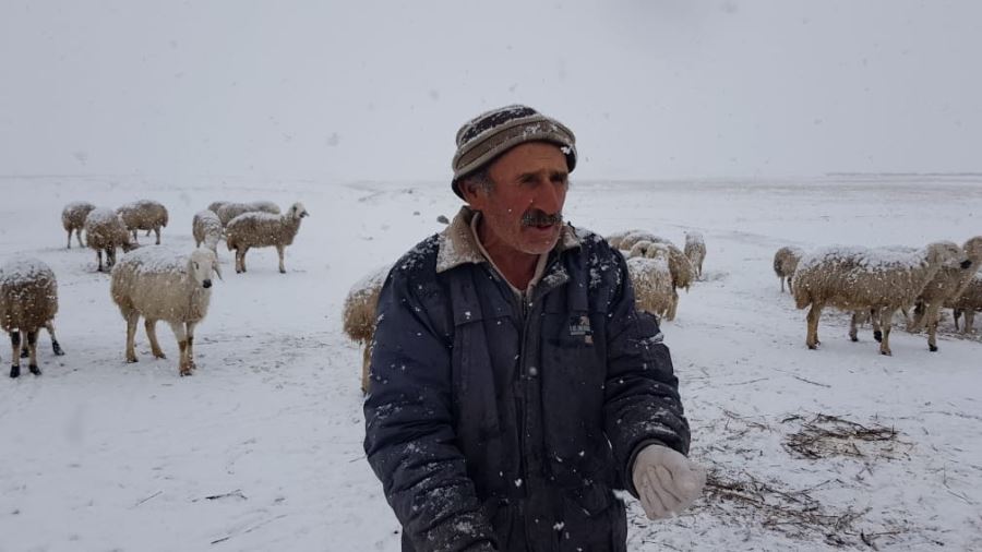 Çobanların soğuk havada 